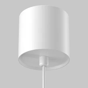 Подвесной светильник Maytoni P100PL-20W3K-W