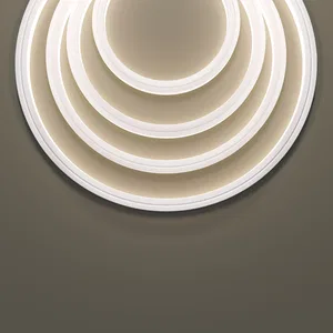 Гибкий неон Led Strip 432023