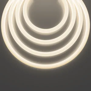 Гибкий неон Led Strip 20302