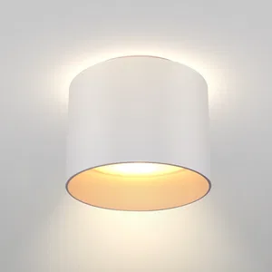 Потолочный светильник Technical C009CW-L12W