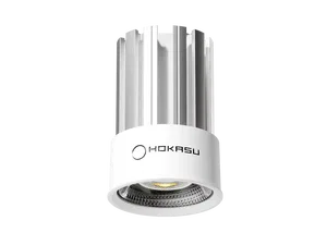 Module HOKASU HS45 (RAL9003/25deg — 4K/10W/CRI90)