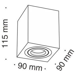 Потолочный светильник Technical C017CL-02B