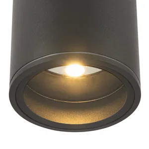 Уличный потолочный светильник Outdoor O306CL-L7GF