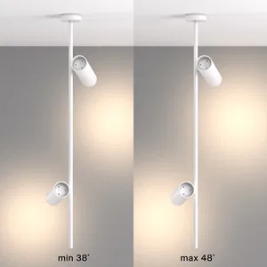 Потолочный светильник Technical C021CL-02W
