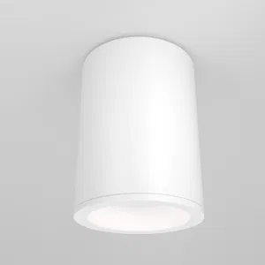 Потолочный светильник Technical C029CL-01W