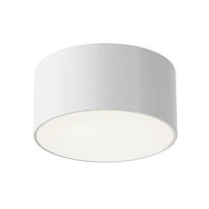Уличный потолочный светильник Outdoor O430CL-L15W3K
