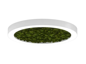 Модульный светильник HOKASU Halo Moss (кольцо со мхом)