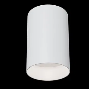 Потолочный светильник Technical C014CL-01W