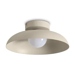 Потолочный светильник Freya FR5602CL-L10W
