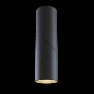 Потолочный светильник Technical C027CL-L10B