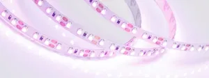 Лента RT-A120-8mm 12V Pink (9.6 W/m, IP20, 2835, 5m) (Arlight, Открытый)