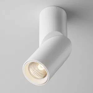 Потолочный светильник Technical C027CL
