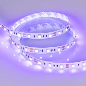 Лента RT-B60-10mm 12V UV400 (14.4 W/m, IP20, 5060, 5m) (Arlight, Открытый)