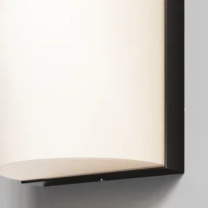 Уличный настенный светильник Outdoor O454WL-L10GF3K1