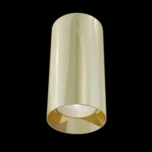 Потолочный светильник Technical C010CL-01G