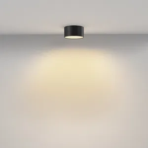 Потолочный светильник Technical C032CL-12W2.7K-RD-B