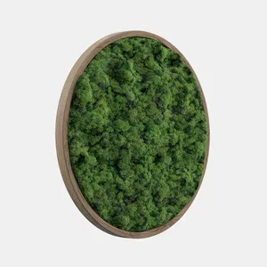 Мох HALO MOSS 1700
