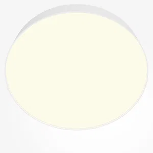 Потолочный светильник Technical C032CL-45W3K-RD-W