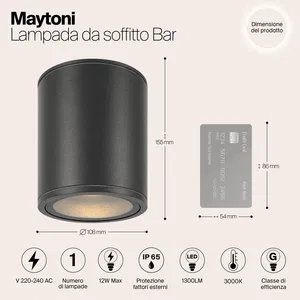 Уличный потолочный светильник Outdoor O306CL-L12GF