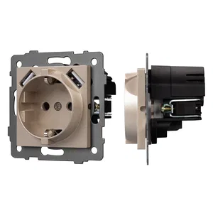 Механизм розетки с USB зарядкой SCT-MUAA-PL-GD-V (250V, 16A) (Arlight, -)