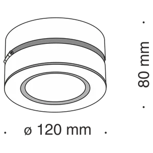Потолочный светильник Technical C023CL-L20B