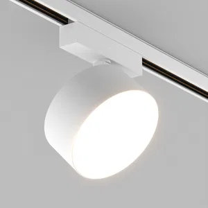 Светильник MAG-ORIENT-RONDO-R120-15W Day4000-MIX (WH, 110 deg, 48V, TUYA Zigbee) (Arlight, IP20 Металл, 5 лет)