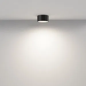 Потолочный светильник Technical C032CL-12W4K-RD-B