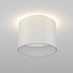 Потолочный светильник Technical C009CW-L12W