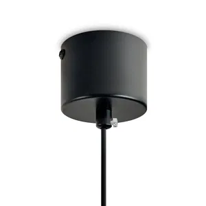 Подвесной светильник Freya FR5599PL-01CFL
