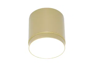 Потолочный светильник Technical C088CL-GX53-MG