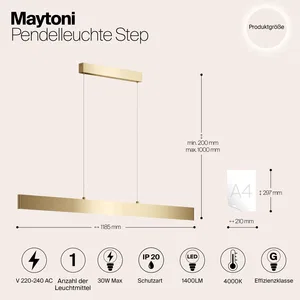 Подвесной светильник Maytoni P010PL-L30G4K