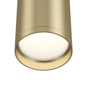 Потолочный светильник Technical C052CL