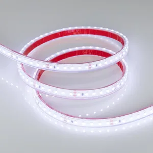 Лента RTW 2-5000PGS 24V Cool 2x (3528, 600 LED, LUX) (Arlight, 9.6 Вт/м, IP67)