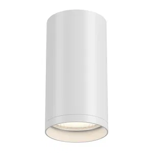 Потолочный светильник Technical C052CL-01W