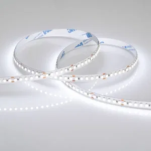 Лента RT6-3528-180 24V White6000 3x (900 LED) (Arlight, 14.4 Вт/м, IP20)