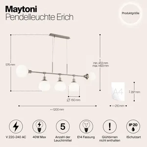 Подвесной светильник Maytoni MOD221-PL-05-N
