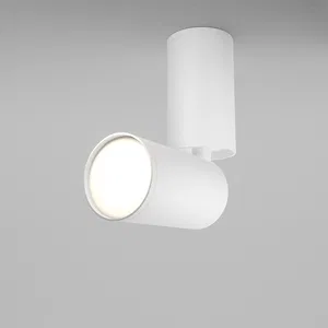 Потолочный светильник Technical C051CL-01W