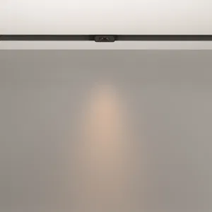 Трековый светильник Technical TR100-2-2W3K-S-B