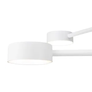 Потолочный светильник Freya FR5363CL-04W