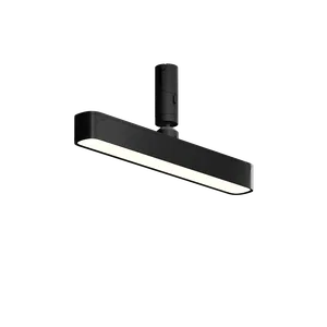 Трековый светильник Technical TR202-1-10W3K-B
