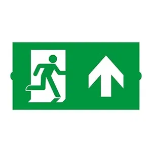 Пиктограмма EMGP-DIRECT-UP (Вверх) (Arlight, Пластик)
