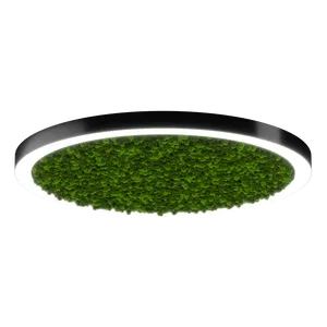 Модульный светильник HOKASU Halo Moss (кольцо со мхом)