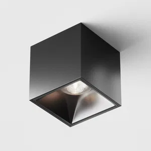Потолочный светильник Technical C065CL