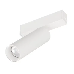 Светильник MAG-SPOT-25-R120-12W Day4000 (WH, 30 deg, 24V) (Arlight, IP20 Металл, 5 лет)