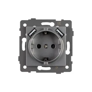 Механизм розетки с USB зарядкой SCT-MUAA-PL-GR-V (250V, 16A) (Arlight, -)