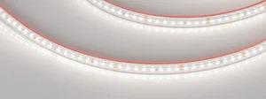 Лента герметичная RTW-PS-A160-10mm 24V Day5000 (12 W/m, IP67, 2835, 5m) (Arlight, 12 Вт/м, IP67)