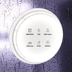 Светодиодная лента Led Strip 10119