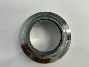 Yüzük armatürlerа DOT RAW