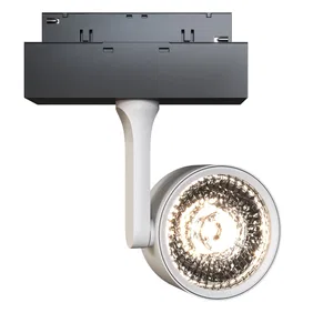 Трековый светильник Technical TR024-2-10B3K