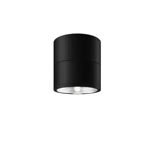 Уличный потолочный светильник Outdoor O310CL-L7GF3K